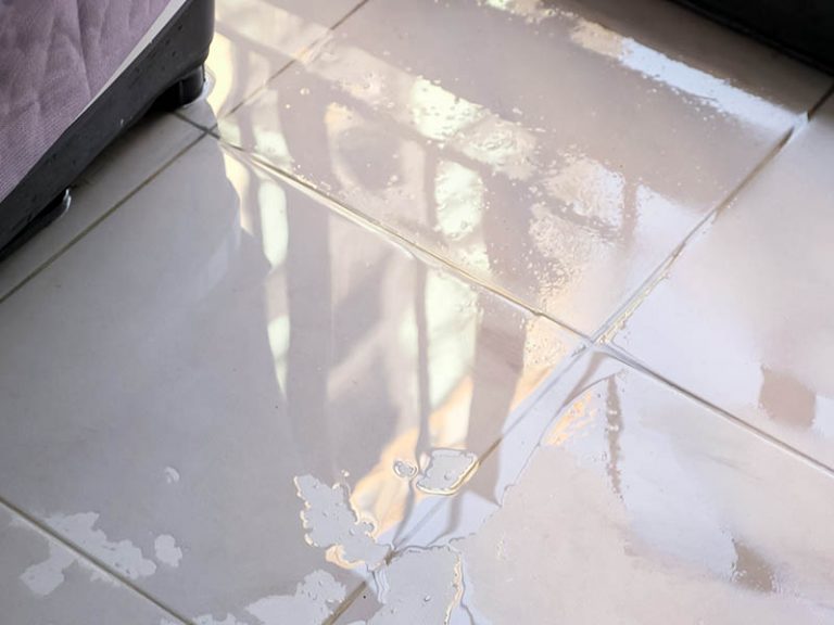 water damage structural drying